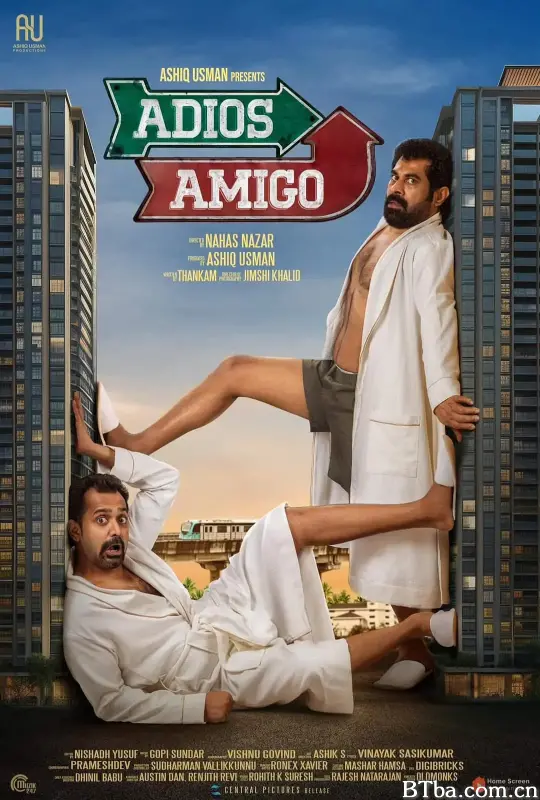 再见，朋友/Adios Amigo