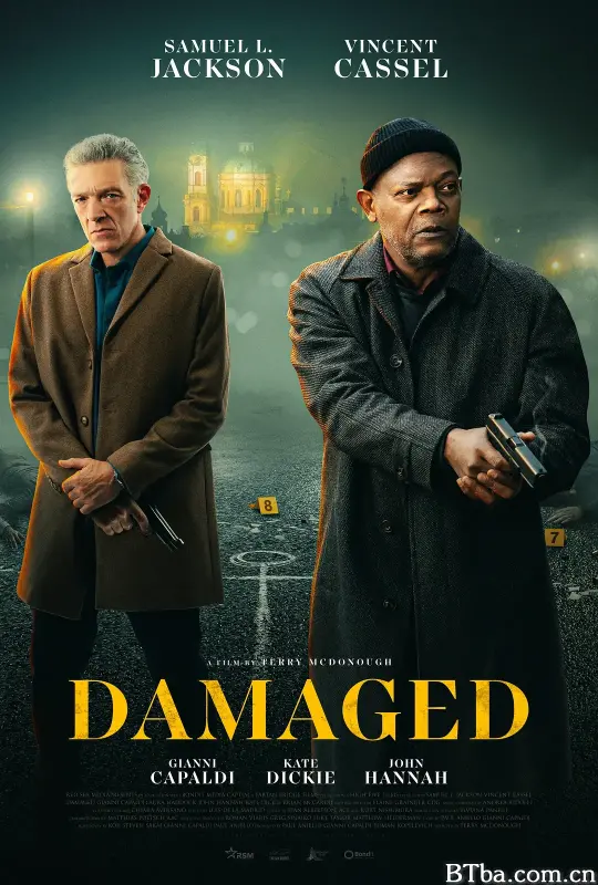 致命伤痕/Damaged