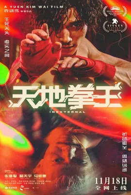 天地拳王/裡應外合