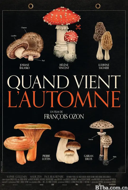 秋日何时来/秋光变奏曲(台)/谁知菇毒心(港)/Quand vient l'automne-720p|1080p高清bt种子下载
