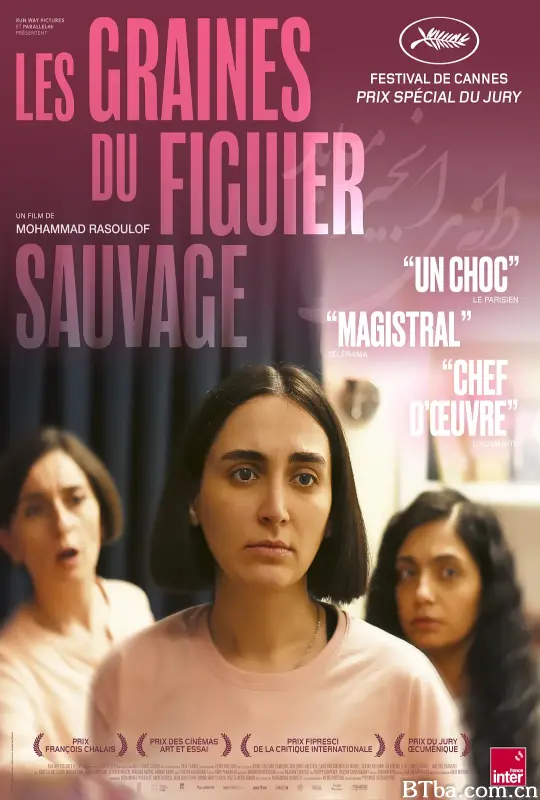 神圣无花果之种/一念菩提(台)/دانه انجیر معابد-720p|1080p高清bt种子下载