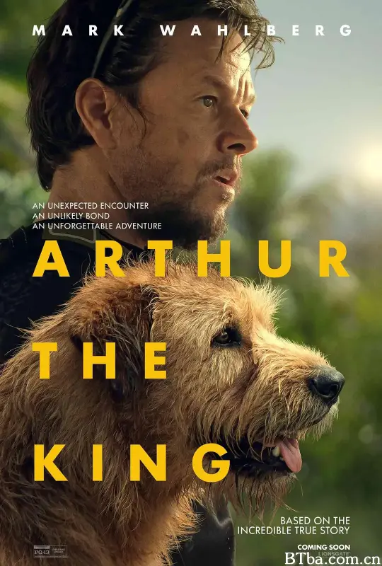 冠军亚瑟/极限长征(台)^铁人狗狗(港)/Arthur the King