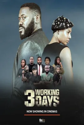 3个工作日/3 Working Days