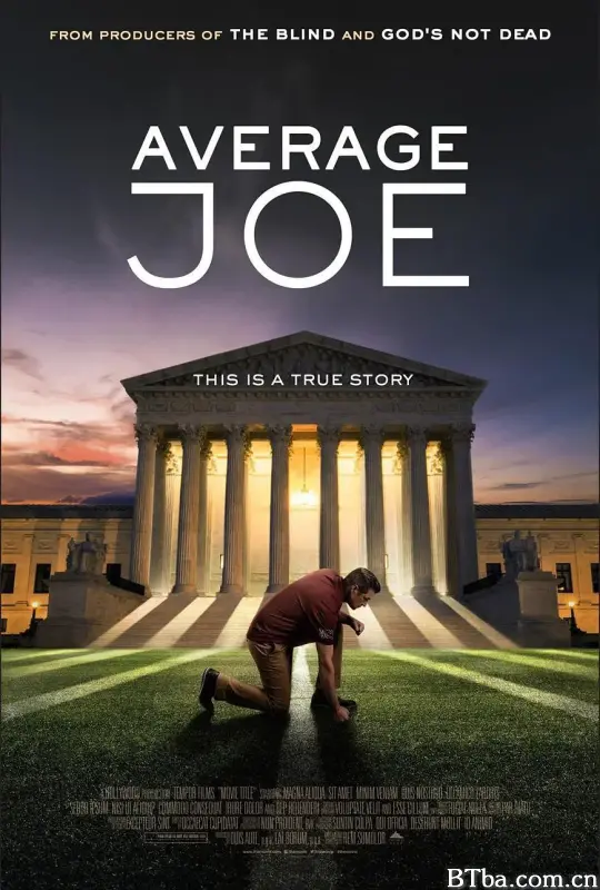 普通的乔/Average Joe‎