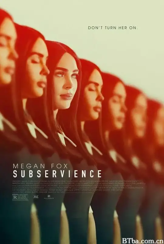 智能觉醒/超完美家政妇(台)/Subservience