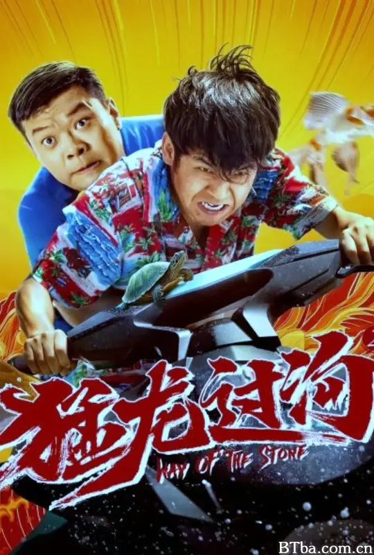 猛龙过沟2