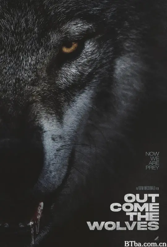 狼群出动/Out Come the Wolves