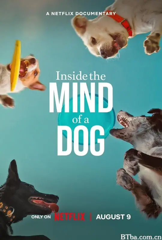 汪星人的奇思妙想/Inside the Mind of a Dog