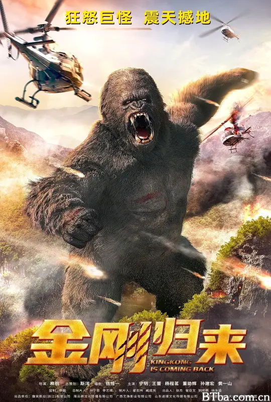 金刚归来
