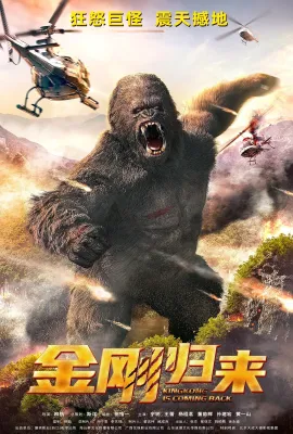 金刚归来 金刚归来