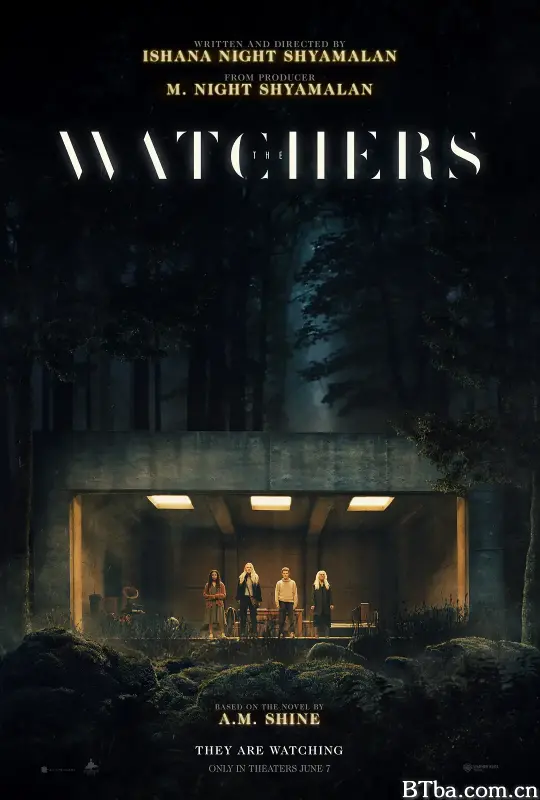 神秘窥视/The Watchers