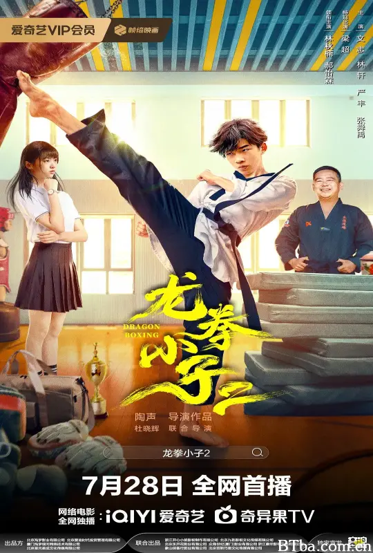 龙拳小子2