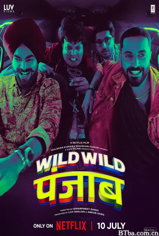 狂野分手团/Wild Wild Punjab