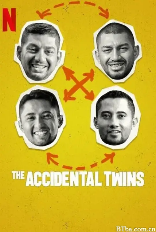 双胞胎乌龙：翻倍的兄弟情/The Accidental Twins