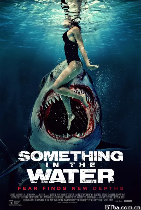 鲨齿险滩/逃出狂鯊島(台)/Something in the Water