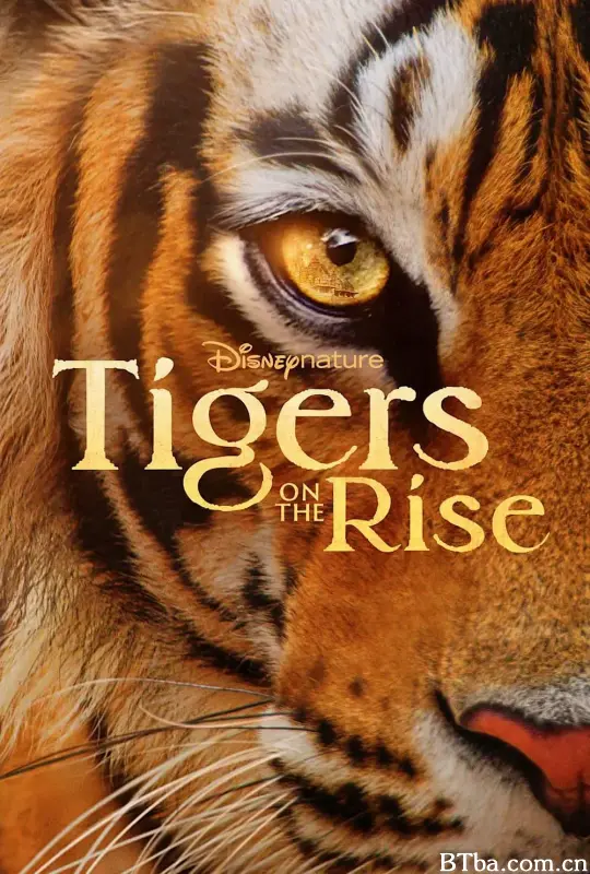 老虎崛起/Tigers on the Rise