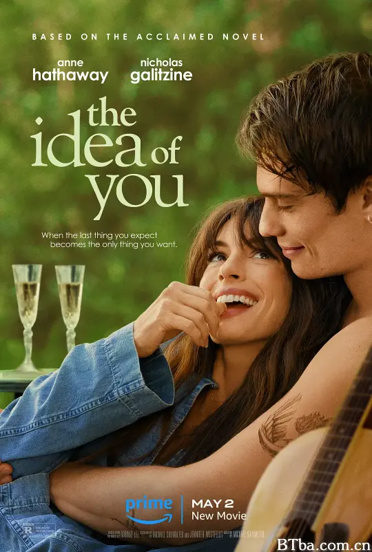 对你的想象/The Idea of You