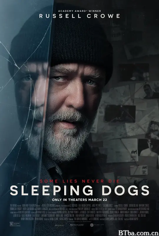 沉睡烈犬/超危险警探(台)/Sleeping Dogs