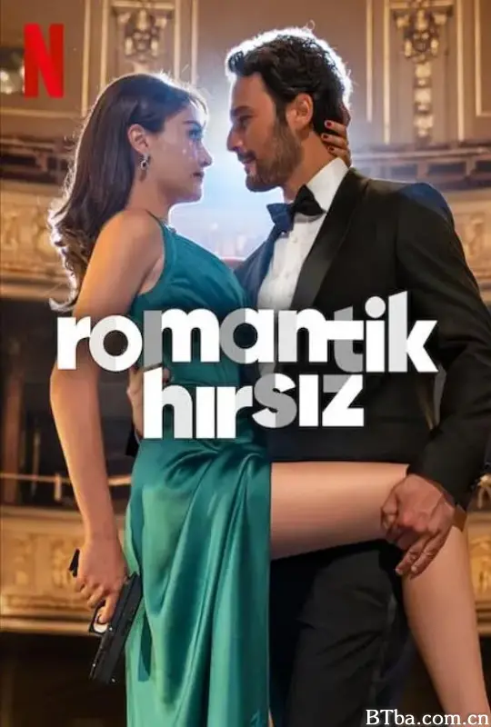 偷心艺术/Romantik Hırsız