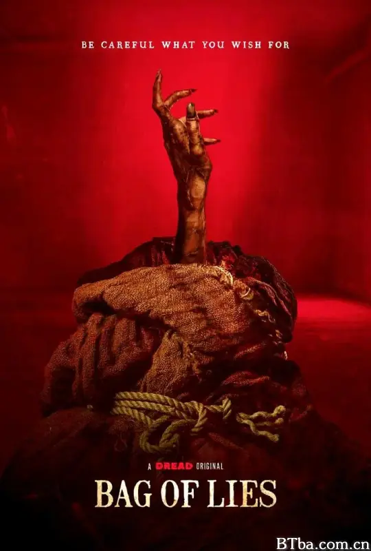 魔袋谎言/Bag of Lies-720p|1080p高清bt种子下载