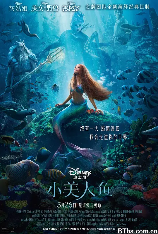 小美人鱼/小鱼仙(港)/The Little Mermaid