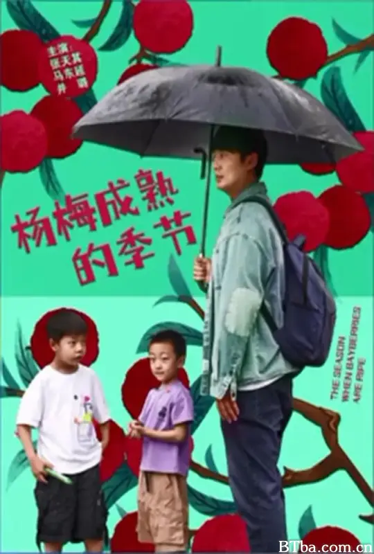 杨梅成熟的季节-720p|1080p高清bt种子下载