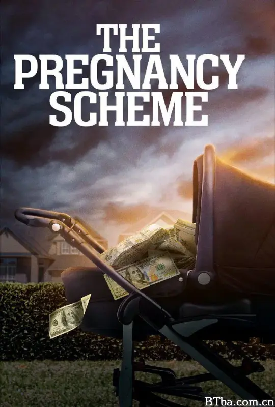 验孕阴谋/The Pregnancy Scheme-720p|1080p高清bt种子下载