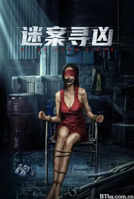 迷案寻凶-720p|1080p高清bt种子下载