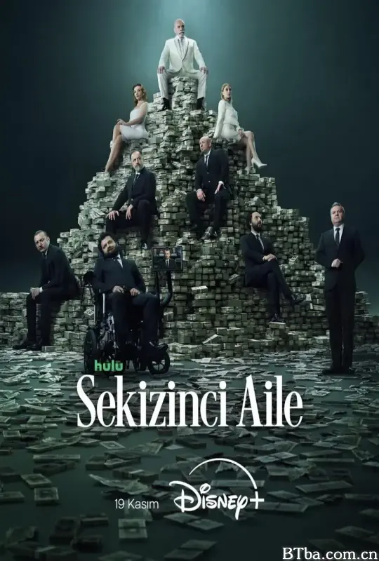 第八个家族/Sekizinci Aile-720p|1080p高清bt种子下载