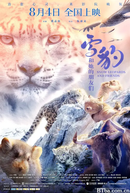 雪豹和她的朋友们-720p|1080p高清bt种子下载