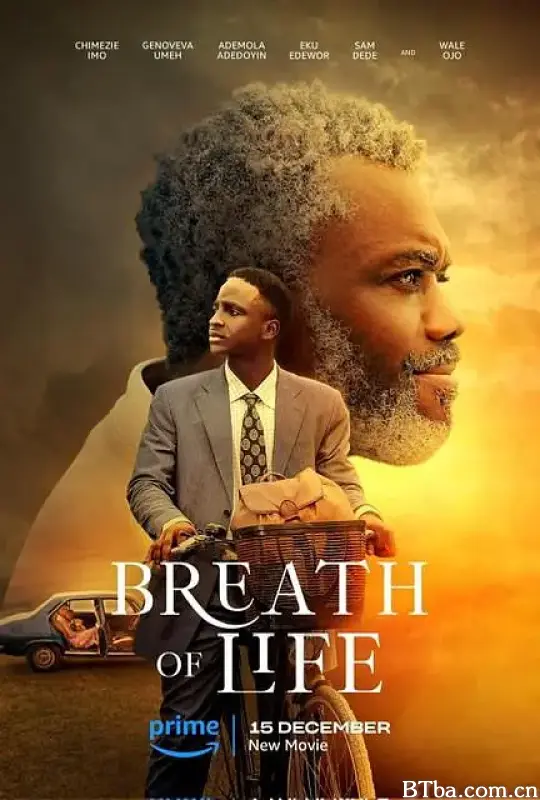 生命之息/Breath of Life-720p|1080p高清bt种子下载