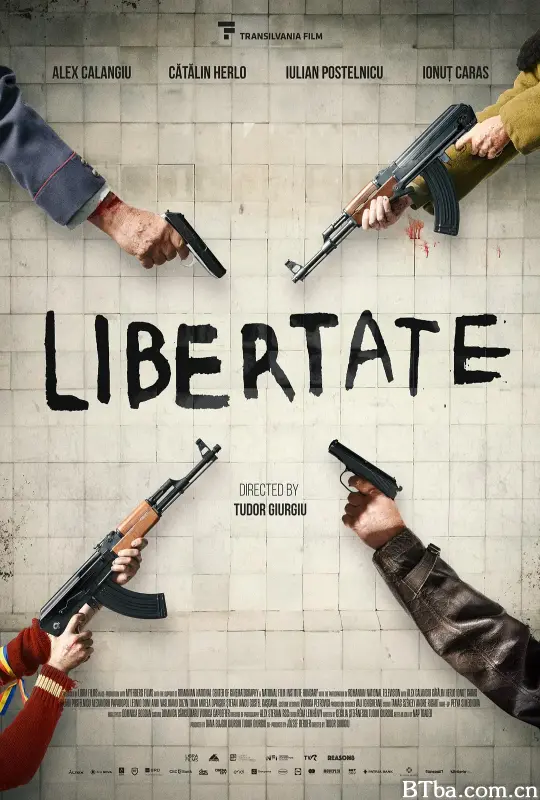89年的锡比乌/Libertate