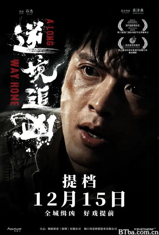 逆境追凶-720p|1080p高清bt种子下载