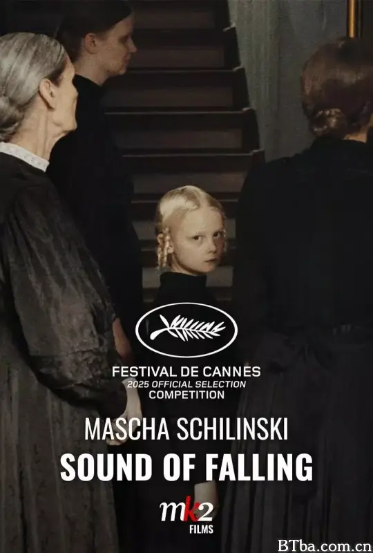 望向太阳/In die Sonne schauen