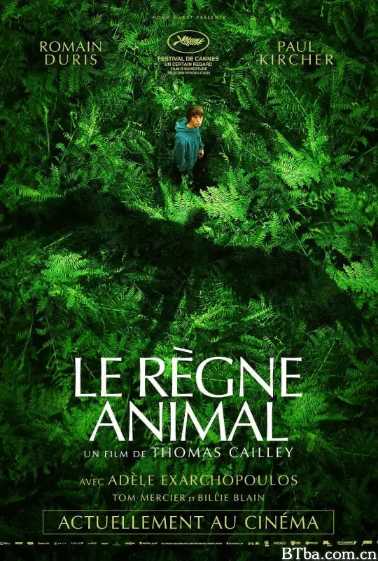 动物王国/进化症候群(台)/Le règne animal