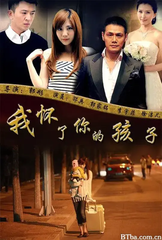 我怀了你的孩子-720p|1080p高清bt种子下载