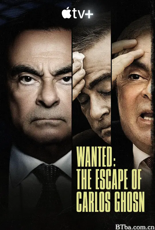 追缉汽车大亨：卡洛斯·戈恩