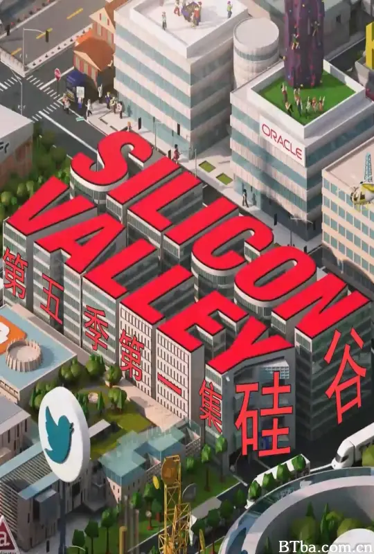 硅谷 第五季/Silicon Valley Season 5-720p|1080p高清bt种子下载
