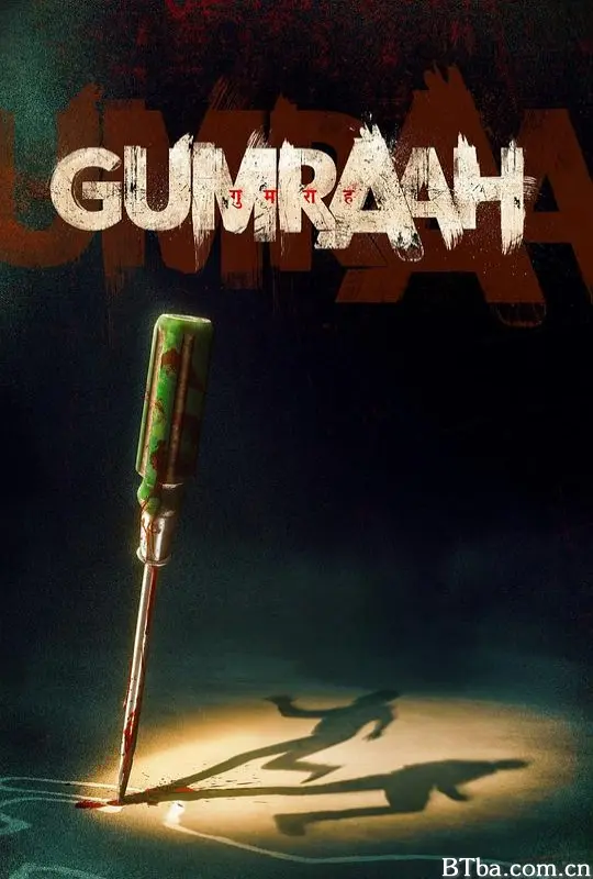 双面线索/गुमराह(印度)