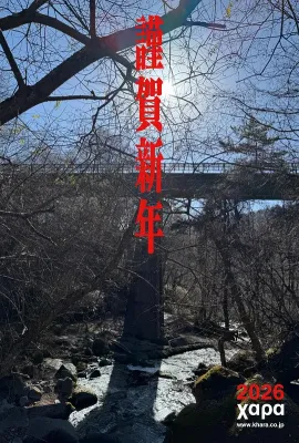 新世纪福音战士 30周年新作动画/新世纪福音战士 30周年纪念特别放映