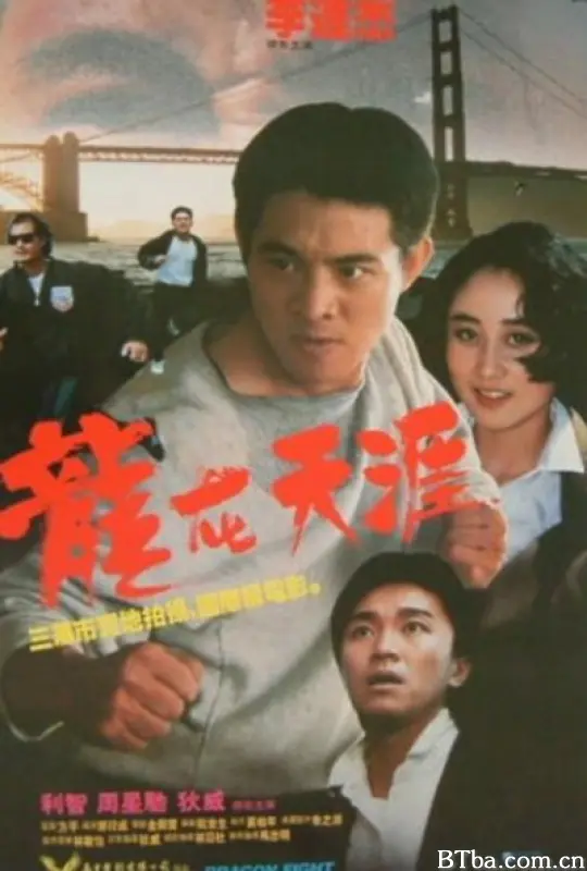 龙在天涯/龙霸天下(台)/Dragon Fight/Dragon Kickboxer