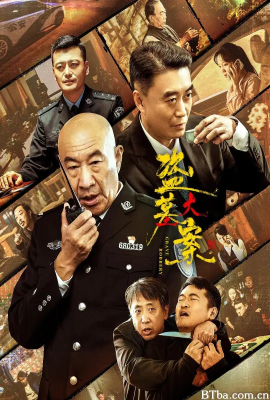 盗墓大案/追捕行动