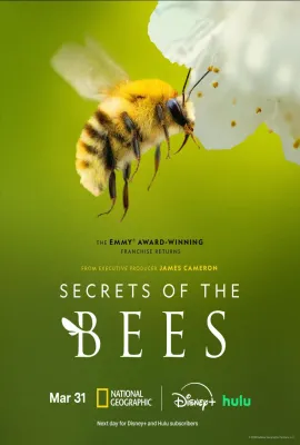 蜜蜂的秘密/Secrets of the Bees