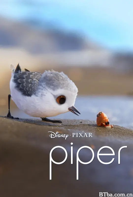 鹬/小鹬初登场(台)/派珀历险记/鸟瞰世界/鹞/Yù/Piper-720p|1080p高清bt种子下载