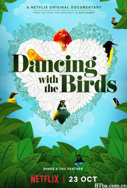 与鸟共舞/与雀共舞(港)/Dancing with the Birds-720p|1080p高清bt种子下载