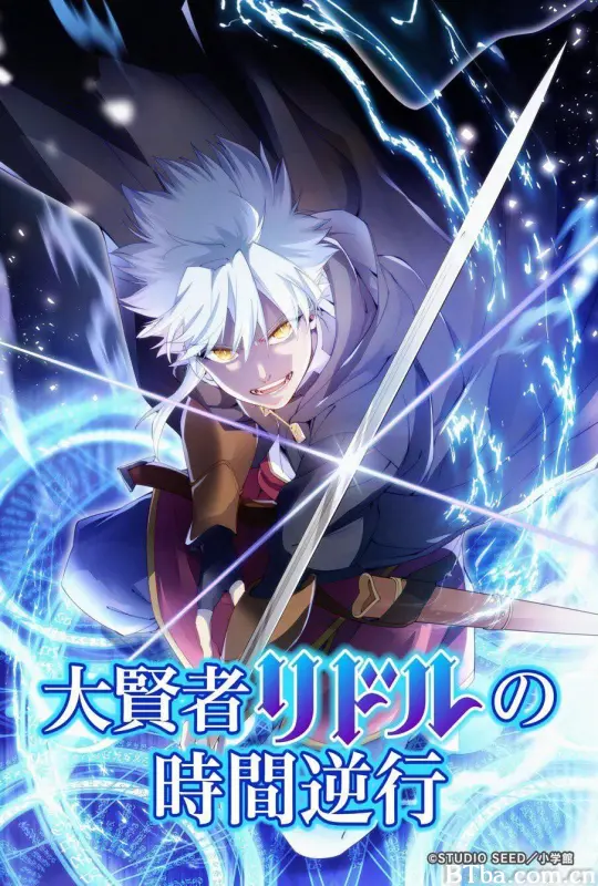 大贤者利多尔的时间逆行/大賢者リドルの時間逆行