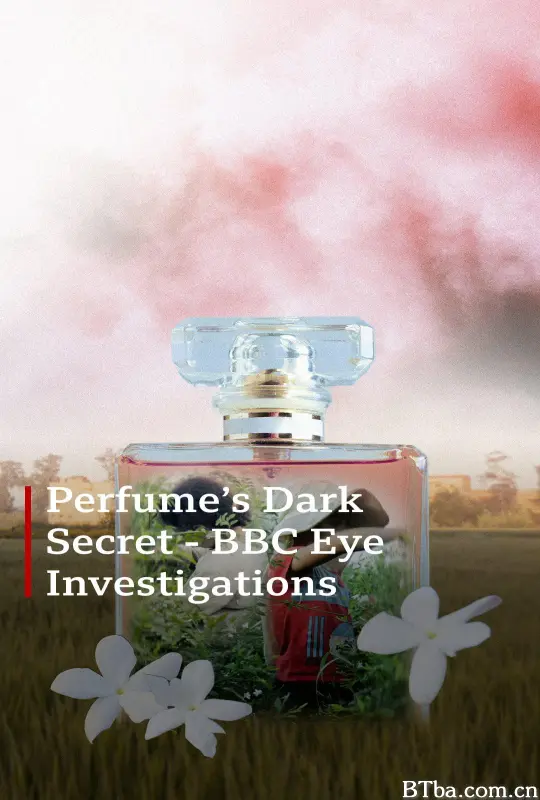 香水的黑暗秘密/香水の暗い秘密/Perfume's Dark Secret-720p|1080p高清bt种子下载