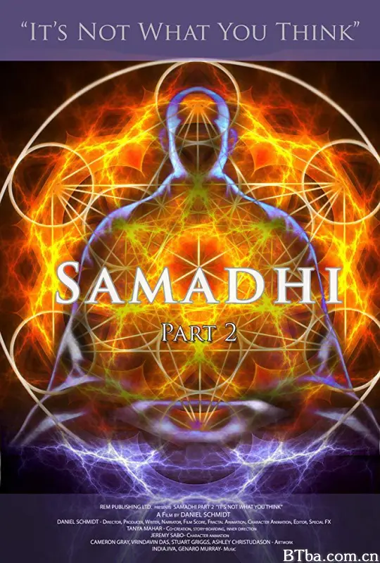 三摩地 第二部 非你所想/Samadhi: Part 2 (It's Not What You Think)