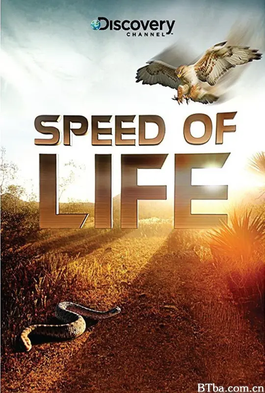 探索频道：生命的速度/探索频道生物快慢间/Discovery Channel ：Speed of Life-720p|1080p高清bt种子下载