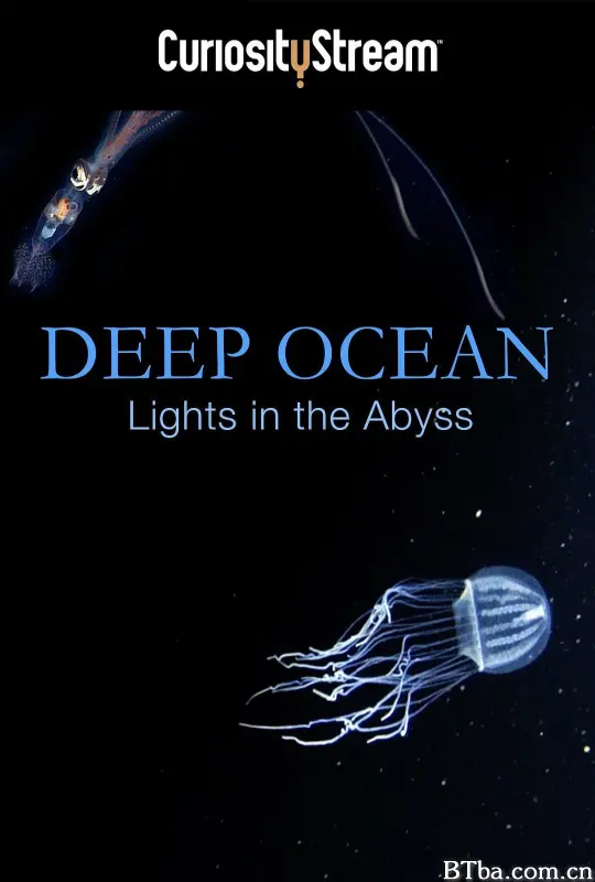 深海：深渊之光/[ディープ オーシャン] 潜入！深海大峡谷 光る生物たちの王国/Abenteuer Ozean – Lebende Lichter der Tiefsee/Deep Ocean: Lights in the Abyss